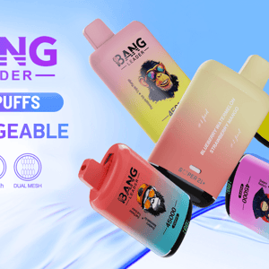 Colorful advertisement for Bang Leader rechargeable vape devices featuring five gradient pod-shaped units, a 45,000-puff claim, brand logo, icons for Type-C, 650mAh and dual mesh, and a 'Double Flavor' label on a light blue gradient background.