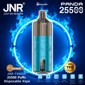 Turquoise metallic JNR Panda disposable vape with a digital display and dark mouthpiece centered against a glowing blue ring of flames, with text reading 'JNR JUST NO REASON' and 'PANDA 25500 PUFFS' and icons indicating approx. 25,500 puffs, battery display, colorful breathing light, dual mesh coil, 850mAh battery and Type‑C charging.