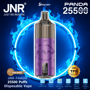 Purple JNR Panda disposable vape front and center with a stylized panda face and metallic mouthpiece, set inside a glowing blue flame ring with branding, 'PANDA 25500 PUFFS' text and feature badges for battery, TPD certification, and charging icons.