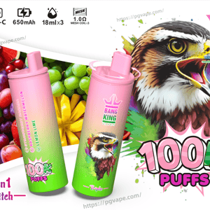 Färgglad produktannons som visar två rosa-till-grön gradient Bang King Vape-engångsenheter framför diverse frukt och en stor hökillustration, som framhäver '100K puffs', '3 in 1 Switch', Type-C laddning, 650 mAh batteri, 18 ml x3 kapacitet, mesh coil-ikon (limmon bananer, vattenmelon, rasbär, banansmak).