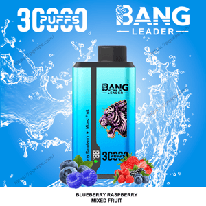 Image promotionnelle bleu vif d'un vape jetable Bang Leader turquoise avec une illustration de tigre violet, un texte ' 3000 bouffées ', un fond d'éclaboussure d'eau et une grappe de myrtilles, de framboises et de fruits mélangés à la base étiquetés Blueberry Raspberry Mixed Fruit