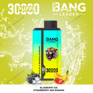 Appareil de vape jetable turquoise à jaune étiqueté Bang Leader avec un logo de tigre rugissant centré sur un fond citron vert avec des éclaboussures d'eau, accompagné de myrtilles, de fraises et de bananes recouvertes de glace et d'un texte indiquant 3000 bouffées et la saveur Glace aux bleuets, Fraise et Banane.