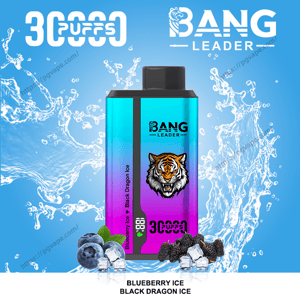 Appareil à vapoter jetable Bang Leader dégradé turquoise à violet avec un logo tigre et une étiquette ' 3000 bouffées ' sur un fond bleu éclaboussé d'eau, accompagné de myrtilles, de mûres et de glaçons et du nom de saveur Blueberry Ice / Black Dragon Ice ci-dessous.