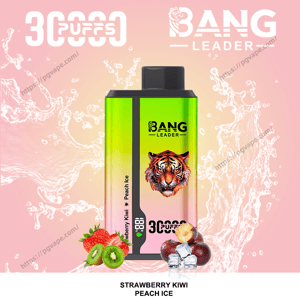 Appareil de vapotage jetable Bang Leader avec un dégradé vert à rose, un logo tigre et une étiquette ' 3000 bouffées ' centrée sur un fond rose éclaboussé d'eau, entouré de fraises, de tranches de kiwis, de moitiés de pêche et de glaçons et étiqueté Strawberry Kiwi Peach Ice.