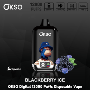 OKSO Digital 12000 Puffs disposable vape in Blackberry Ice flavor with screen display, mesh coil, Type-C and 500mAh battery