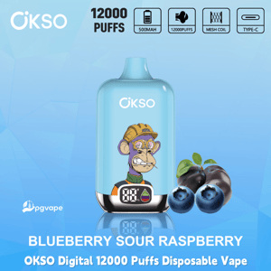 OKSO Digital 12000 Puffs disposable vape in Blueberry Sour Raspberry with battery display and fruit graphics on blue background