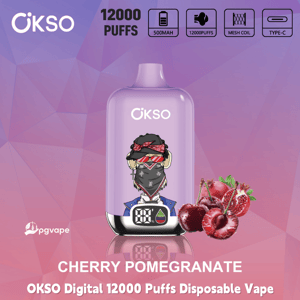 OKSO Digital 12000 Puffs disposable vape in cherry pomegranate flavor with fruit images and feature icons above