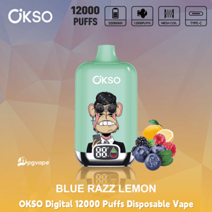 OKSO Digital 12000 Puffs disposable vape in Blue Razz Lemon with battery display and fruit graphics