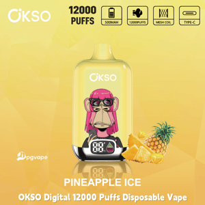 OKSO Digital 12000 Puffs disposable vape in Pineapple Ice flavor with 500mAh battery, mesh coil, and Type‑C charging icons