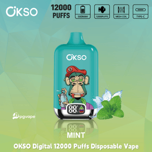 OKSO Digital 12000 Puffs disposable vape in mint flavor with cartoon monkey design, 500mAh battery, mesh coil, Type-C charging