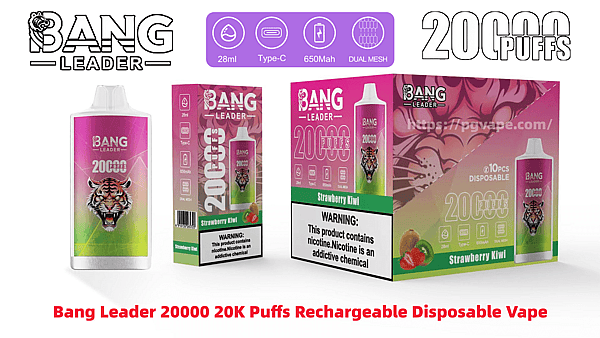 Product display of Bang Leader 20,000-puff rechargeable disposable vape and packaging in strawberry kiwi flavor with pink-green gradient and tiger logo, prominent "20,000 puffs" text, icons for 28ml, Type-C, 650mAh and dual mesh, and a nicotine warning label.