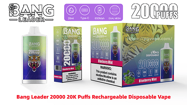 Bang Leader rechargeable disposable vape packaging showing a tall cylindrical device and boxed packs labeled 20000 puffs Blueberry Mint with a roaring tiger logo, icons for 28ml, Type‑C, 650mAh and Dual Mesh, and a prominent nicotine warning panel.