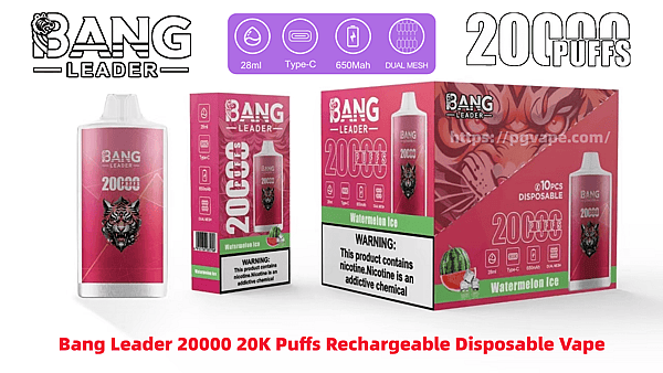 Pink Bang Leader disposable vape and boxed packaging displaying '20,000 puffs' branding with a tiger emblem, watermelon ice flavor art, Type-C/28 ml/650 mAh/dual mesh icons, and a nicotine warning.