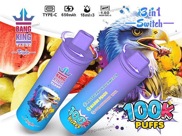Two purple-to-blue gradient disposable vape devices branded "Bang King Vapen" shown against a colorful fruit background and a painted eagle, with prominent "100K puffs" and "3in1 Switch" text and small icons indicating Type‑C charging, 650mAh battery, 18ml×3 capacity and mesh coils.