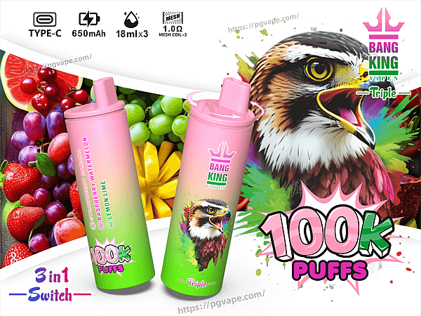 Colorful product ad showing two pink-to-green gradient Bang King Vape disposable devices in front of assorted fruit and a large hawk illustration, highlighting '100K puffs', '3 in 1 Switch', Type‑C charging, 650mAh battery, 18ml x3 capacity, mesh coil icon, and three flavors (strawberry banana, raspberry watermelon, lemon lime).