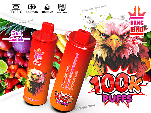 Two red-orange cylindrical disposable vape devices with mouthpieces and Bang King branding placed against a colorful fruit background, featuring a large illustrated eagle, a bold "100K PUFFS" graphic, and icons indicating Type-C charging, 650 mAh, 18 ml x3 capacity and 1.0Ω mesh coils.