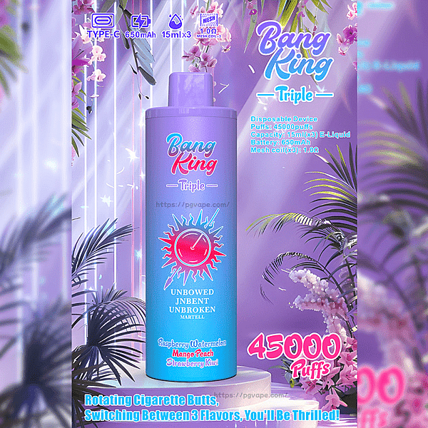 Bang King Triple 45000 45K Puffs 3 in 1 Flavors Disposable Vape Rechargeable Vape Factory Direct - Image 7