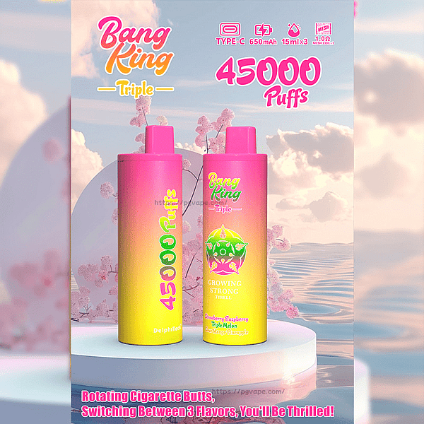 Bang King Triple 45000 45K Puffs 3 in 1 Flavors Disposable Vape Rechargeable Vape Factory Direct - Image 10