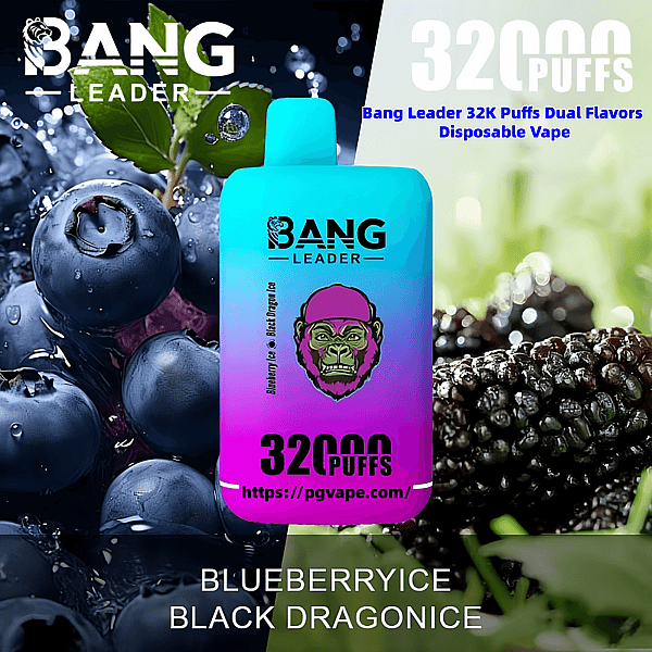 Bright turquoise-to-magenta disposable vape device labeled BANG LEADER and 32,000 puffs centered against close-up blueberries and blackberries, with text indicating Blueberry Ice and Black Dragon Ice flavors.