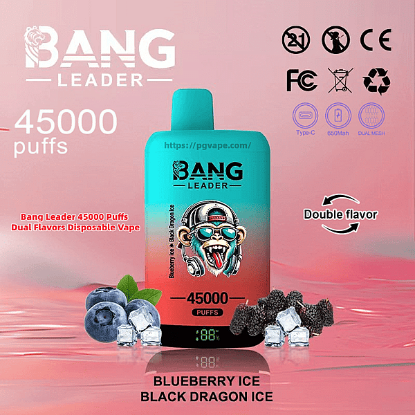 Turquoise-to-coral Bang Leader disposable vape labeled 45000 puffs and dual flavors Blueberry Ice / Black Dragon Ice, shown front-and-center with blueberries, dark berries and ice cubes at its base, certification icons and a digital puff counter on a pink background.
