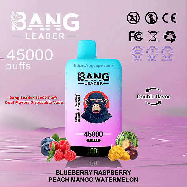 Gradient cyan-to-pink disposable vape labeled BANG LEADER and 45000 puffs with a small digital battery display, double-flavor arrow and fruit images (blueberries, raspberries, peach, mango and watermelon) on a pink background with certification icons.