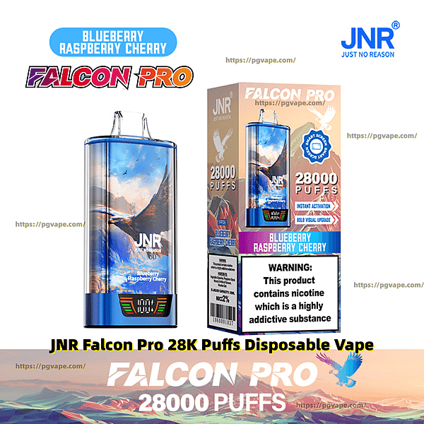 Box and matching device of a JNR Falcon Pro disposable vape in Blueberry Raspberry Cherry flavor featuring a falcon illustration, '28,000 puffs' and flavor labels, a small digital display on the device, and a prominent nicotine addiction warning on the packaging.