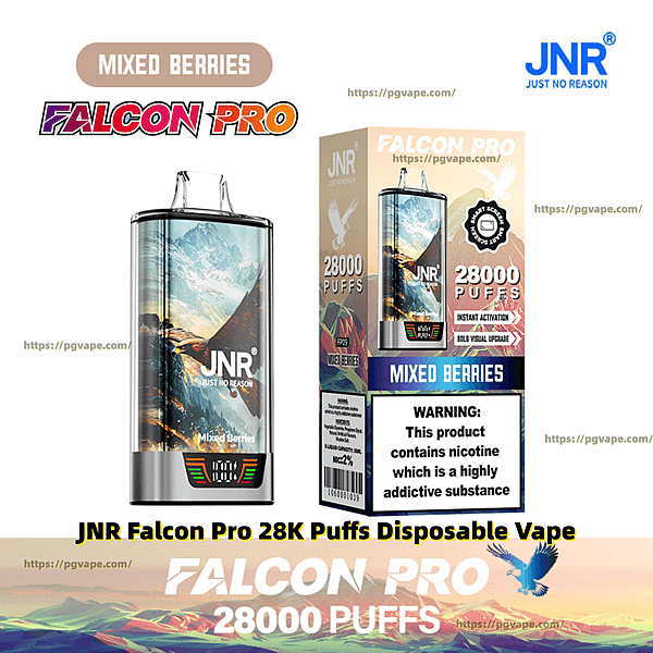 Rectangular metallic JNR Falcon Pro disposable vape and matching box showing mountain artwork, 'Mixed Berries' flavor, prominent Falcon Pro and JNR branding, '28,000 puffs' claim and a nicotine addiction warning label.