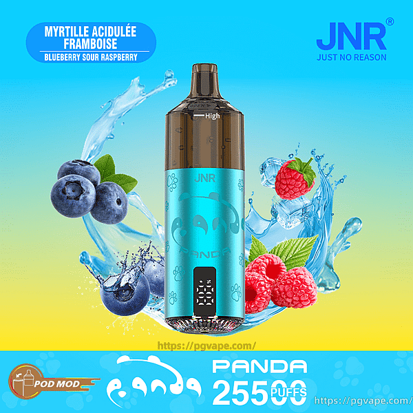 Turquoise JNR 'Panda' disposable vape pod centered on a blue-to-yellow gradient background, flanked by splashing water with blueberries and raspberries and labeled "PANDA 25500 PUFFS".