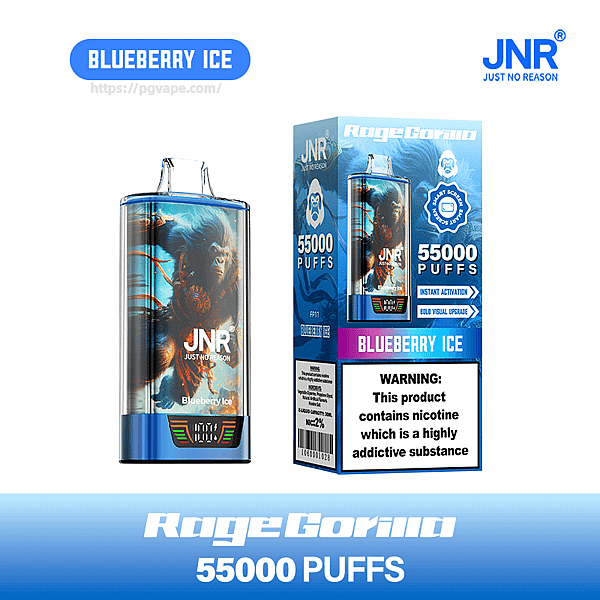 Blue and silver JNR "Just No Reason" disposable vape device and its retail box labeled Blueberry Ice and 55,000 PUFFS, featuring a stylized gorilla illustration, brand logo, and a prominent nicotine addiction warning