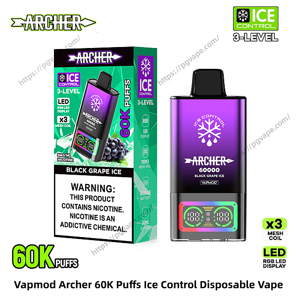 Packshot showing the Vapmod Archer disposable vape and its box: a purple-gradient Archer 60000 device labeled Ice Control (Black Grape Ice) beside packaging advertising 60K puffs, a nicotine warning block, RGB LED display, 3-level Ice Control and x3 mesh coil features.