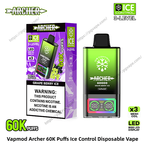 Green gradient Vapmod Archer disposable vape next to its purple-accented box, both labeled 60K puffs and Ice Control 3-Level, showing a snowflake logo, RGB LED display on the device, 'Grape Berry Ice' flavor text, and a prominent nicotine warning on the box.