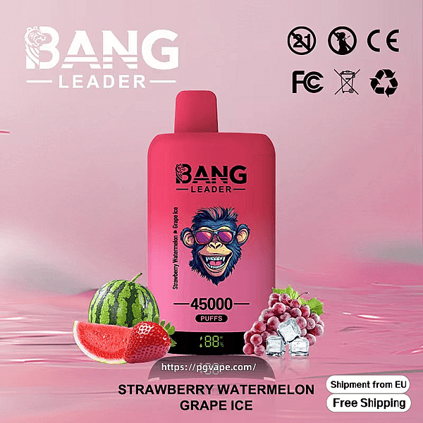 Pink Bang Leader disposable vape device featuring a cartoon monkey in sunglasses and '45000 puffs' printed on it, shown with a watermelon slice, strawberry and grapes with ice, flavor text 'Strawberry Watermelon Grape Ice' and certification icons at the top right.