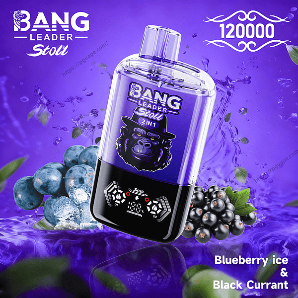 Purple Bang Leader Stoll 2-in-1 disposable vape with a gorilla logo and digital display, shown floating amid splashing water, ice, blueberries and black currants with '120000' and flavor text 'Blueberry ice & Black Currant'.