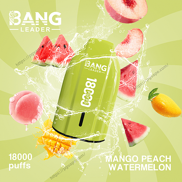 Bright green Bang Leader disposable vape labeled 18000 puffs surrounded by splashing water and floating mango, peach and watermelon slices on a light green patterned background