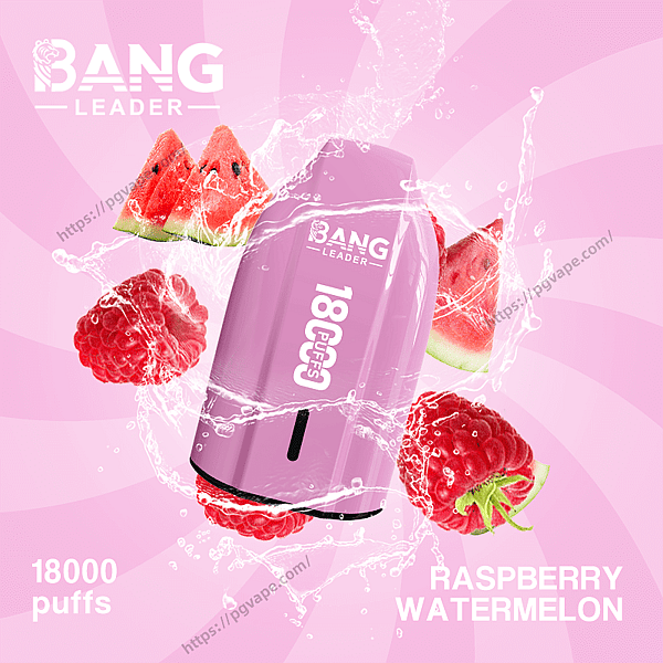 Pink Bang Leader disposable vape device labeled '18000 puffs' floating amid water splashes, raspberries and watermelon slices on a pink radial background with the text 'Raspberry Watermelon'.