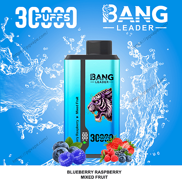 Bright blue promotional image of a turquoise Bang Leader disposable vape with a purple tiger illustration, '3000 puffs' text, water splash background and a cluster of blueberries, raspberries and mixed fruit at the base labeled Blueberry Raspberry Mixed Fruit