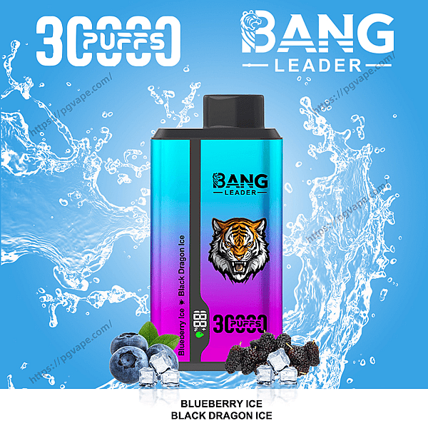 Gradient turquoise-to-purple Bang Leader disposable vape device with a tiger logo and '3000 puffs' label set against a blue water-splash background, accompanied by blueberries, blackberries and ice cubes and the flavor name Blueberry Ice / Black Dragon Ice below.