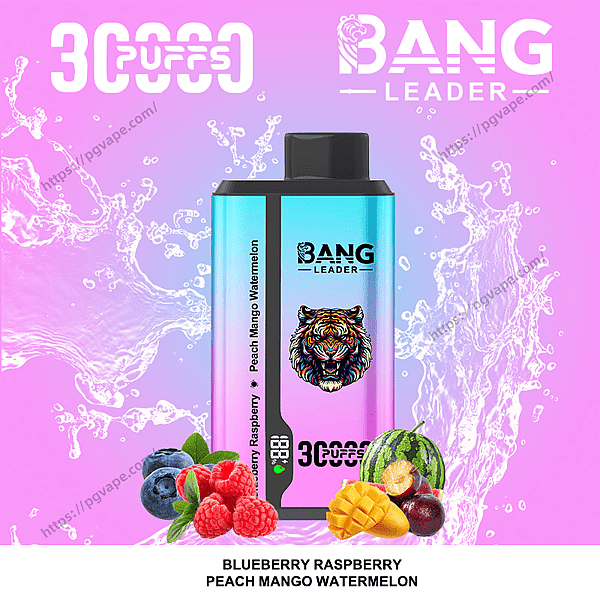 Pink-to-blue gradient ad featuring a Bang Leader disposable vape with a colorful tiger logo and '3000 puffs' branding, surrounded by water-splash effects and fresh fruits (blueberry, raspberry, peach, mango, watermelon) indicating the flavors.