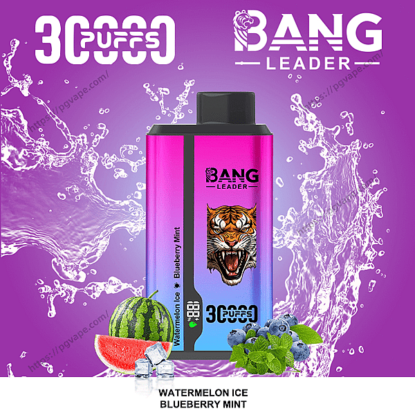 Bright magenta-to-blue Bang Leader disposable vape device with a roaring tiger logo centered against a purple background with splashing water, 3C Puffs and Bang Leader logos at the top, and a watermelon slice, ice cubes, blueberries and mint leaves with the flavor label Watermelon Ice Blueberry Mint at the bottom.