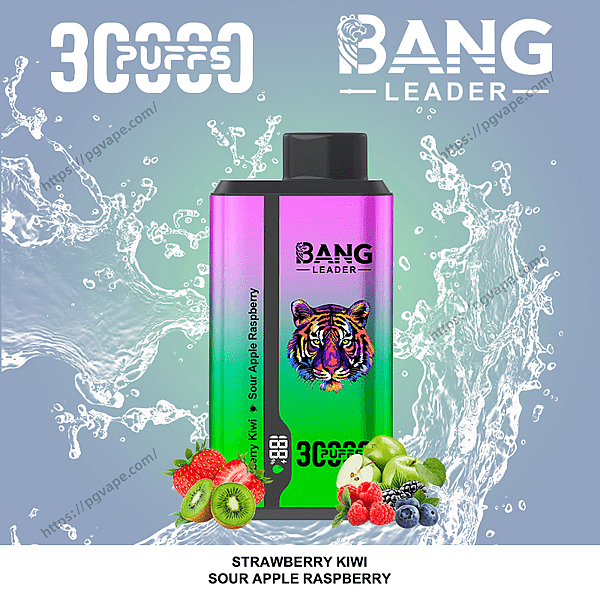 Bright gradient disposable vape device labeled BANG LEADER with a colorful tiger logo, set against splashing water and surrounded by strawberries, kiwi, green apples, raspberries and blueberries, with the caption STRAWBERRY KIWI SOUR APPLE RASPBERRY below.